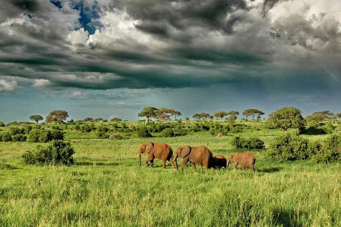 2 Days Joined Group Tarangire and Ngorongoro Crater National Park