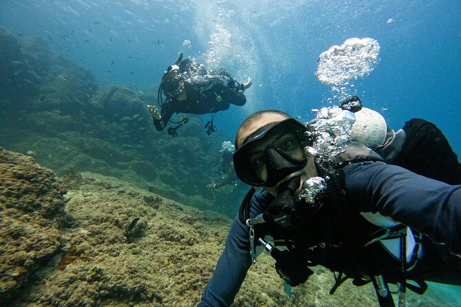 2 Dives for Certified Divers in Fujairah With BBQ Lunch