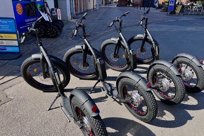 2 Hour Copenhagen Tour on Electric Scooter “Stand Up Bike”