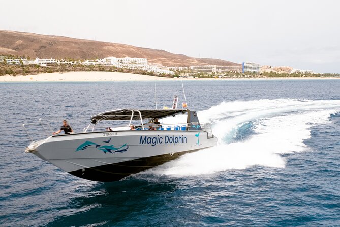 2-Hour Dolphin Watching Experience in Fuerteventura