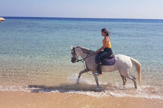 2-Hour Horse Riding Adventure on The Sea and Desert in Hurghada