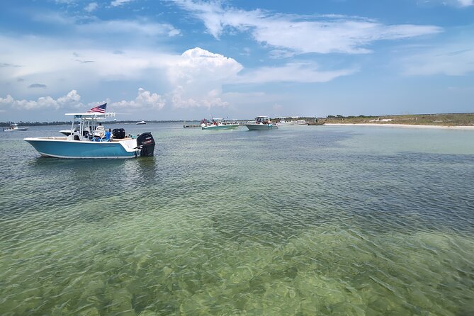 2-Hour Private Dolphin Sightseeing Adventure