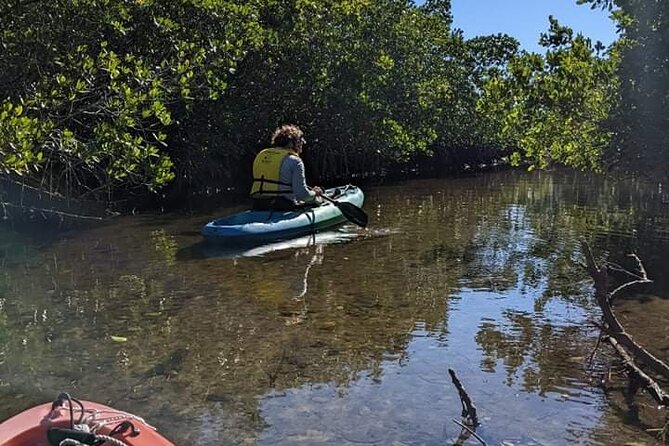 2 Hour Tandem Kayak Tour (Price for 2 People) - Overview of the Tour