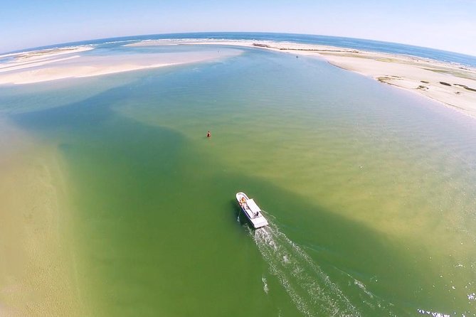 2 Hours Boat Tour in Ria Formosa