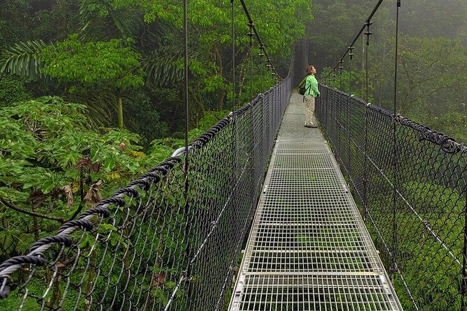 2-in-1 Arenal Hanging Bridges + La Fortuna Waterfall