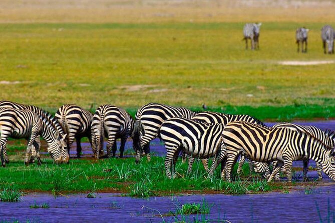 2 Nights 3 Days Amboseli National Park