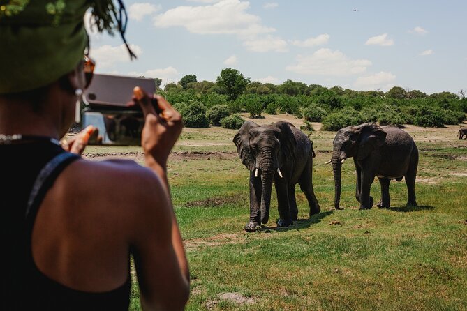 2 Nights 3 Days Chobe Safari Ex Livingstone/ Victoria Falls