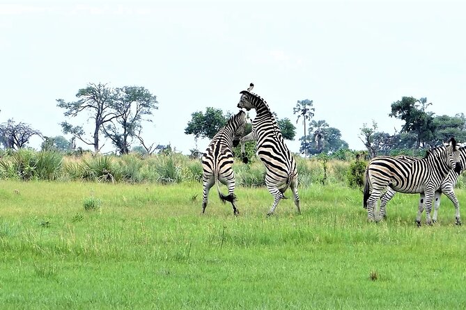 2 Nights 3 Days Overnight Mokoro Trail Okavango Delta