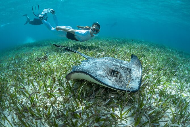 24H Snorkel Rental Equipment, Discover Tenerife on Your Own!