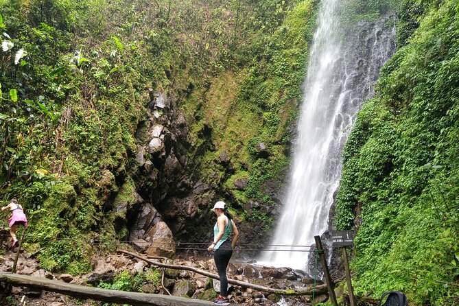 2x1 Guided Tour Combo Hanging Bridges and Night Walk - Tour Overview