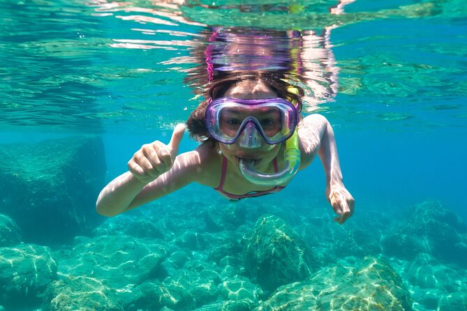 3 and a Half Hours Snorkeling and Dolphin Watching in Figarolo - Viator Help Centre for Inquiries