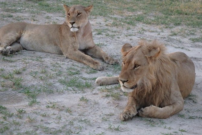 3 Day Desert Trail: Central Kalahari Game Reserve – WildCamping Safari