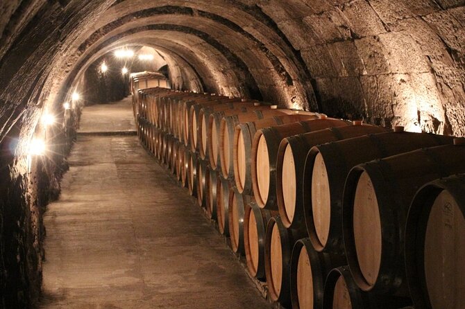3 Day Guided Tailor Made Wine Tour in Rioja and Ribera Del Duero - Exploring Rioja Wineries