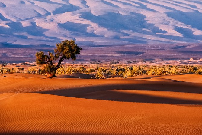 3-Day Merzouga Desert Trip From Fes To Marrakech