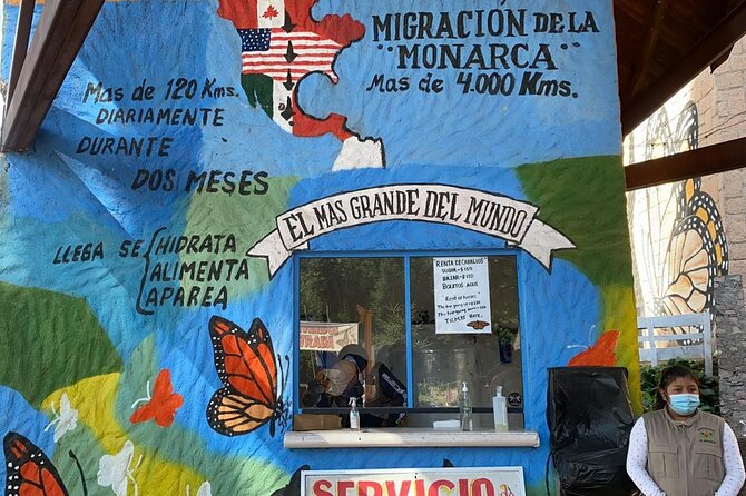 3-Day Private Guided Tour of Monarch Butterflies in Michoacan - Transportation Details