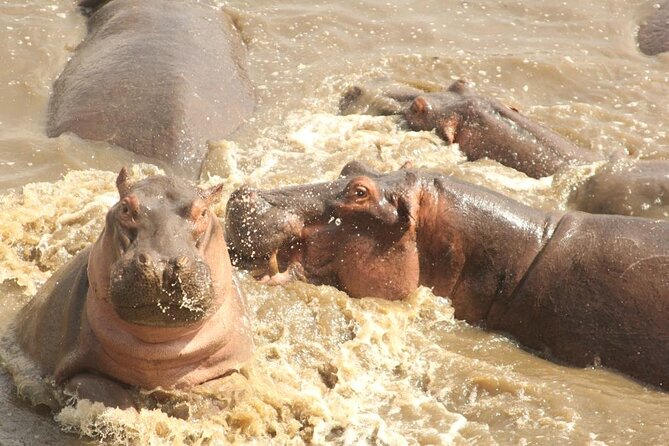 3 Day Safari From Arusha: Serengeti and Ngorongoro
