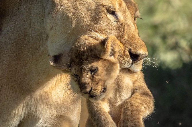3-Day Safari to Ngorongoro, Tarangire & Lake Manyara NP