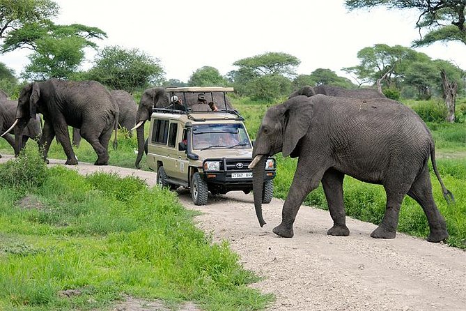 3-Day Safari Tour to Tarangire National Park, Lake Manyara National Park and Ngorongoro Crater From Arusha