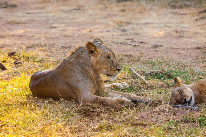 3-Day Samburu Safari From Nairobi