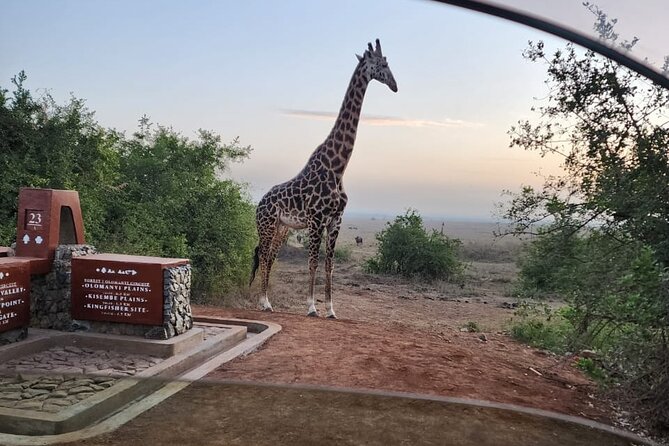 3 Days – 2 Nights Maasai Mara From Nairobi