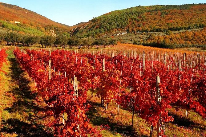 3 Days Best of Tuscany Private Tour - Tour Overview