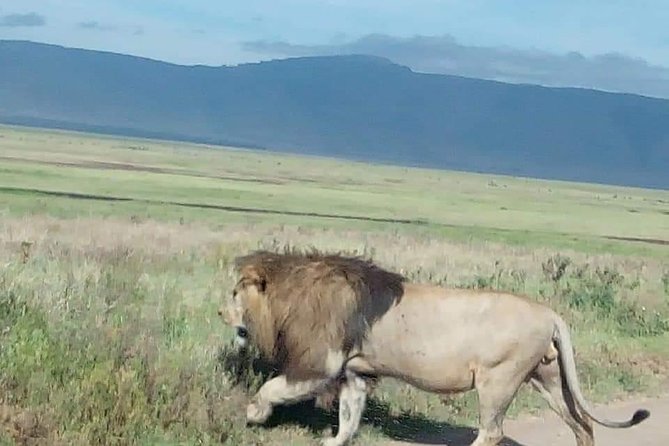 3 Days Camping Safari Tour Tanzania