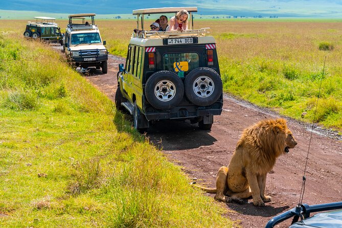 3 Days Luxury Safari Tour in Tanzania - Tour Highlights