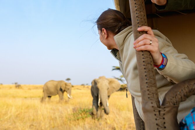 3 Days Ngorongoro & Serengeti Fly in Safari