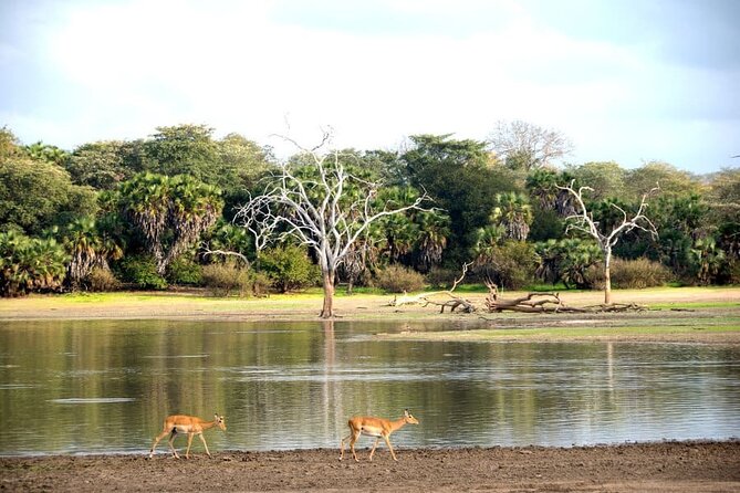 3-Days Private Nyerere NP Game Drive and Boat Safari Tour