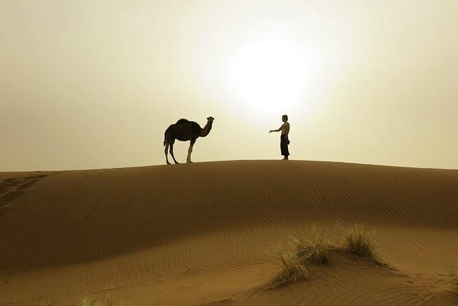 3-Days Private Sahara Desert Trek