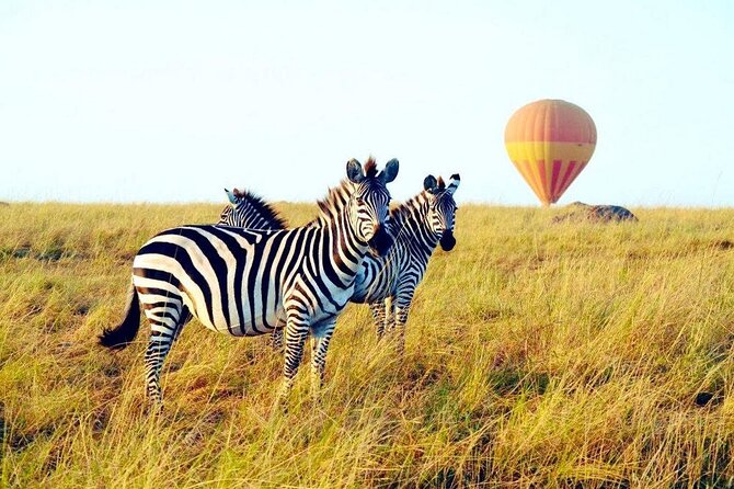 3 Days Private Tour in Maasai Mara