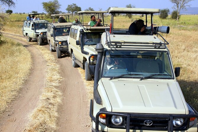 3 Days Safari Tour to Serengeti National Park