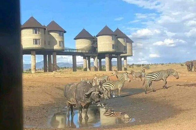3 Days Safari Tsavo East and Taita Hills Saltlick Lodge