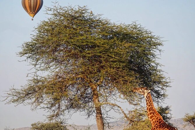 3 Days Serengeti & Ngorongoro Group