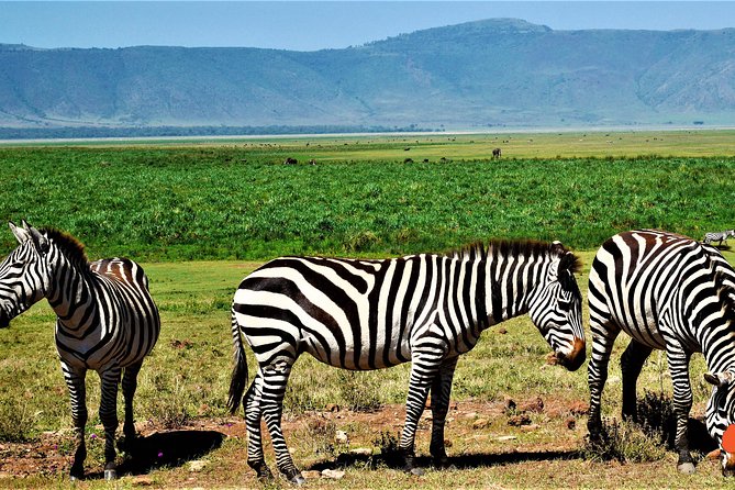 3 Days Tanzania Safari