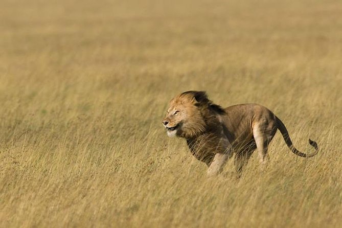 3 Days Tanzania Short and Spicy