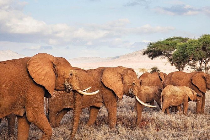 3 Days-Tarangire, Ngorongoro & Lake Manyara: Camping Joint Safari.