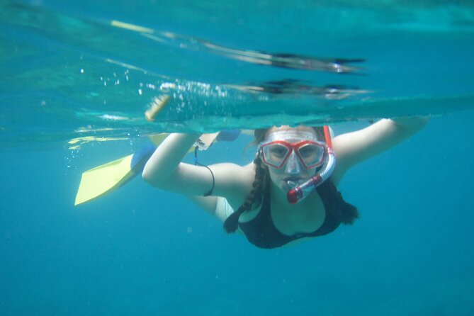 3 Hour Cruise & Swimming Excursion off Peanut Island Park