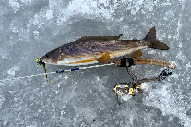 3 Hour Ice Fishing Experience
