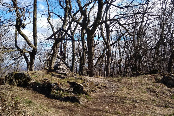 3-Hour Private Hiking Tour Over Parapluie Mountain With a View of Vienna - Meeting Point and Transportation