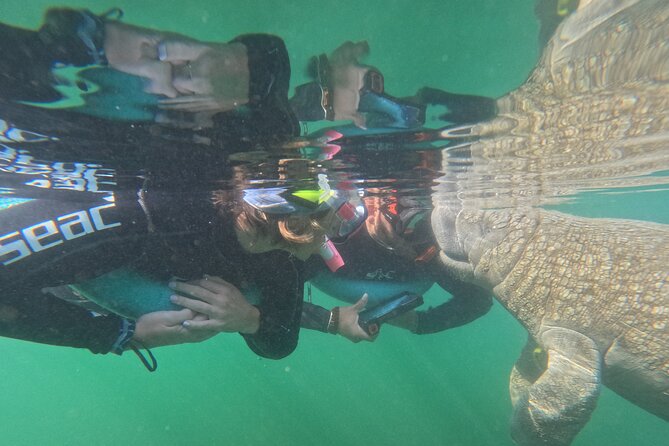 3 Hour Private Manatee Snorkel Tour