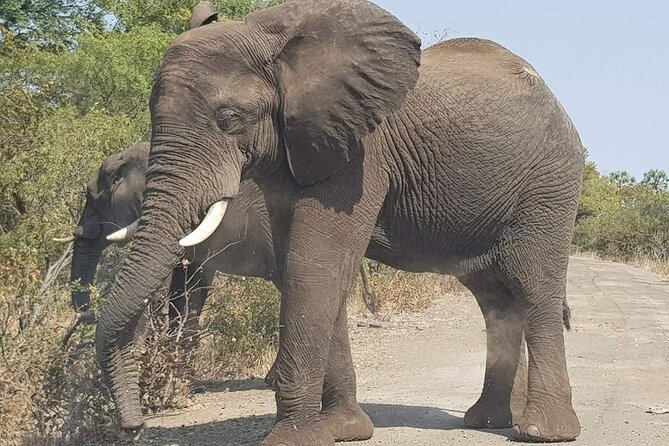 3 Hour Private Tour in Mosi-Oa-Tunya National Park