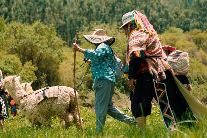 3-Hour Small-Group Hiking With Alpaca in Sacred Valley