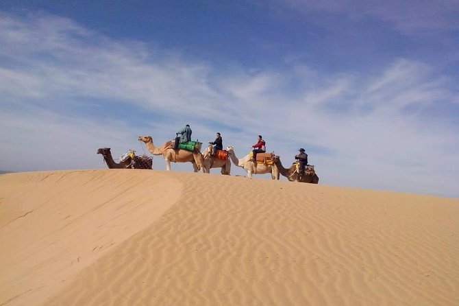 3 Hours Camel Ride in Essaouira With Dinner and Overnight in Berber Camp