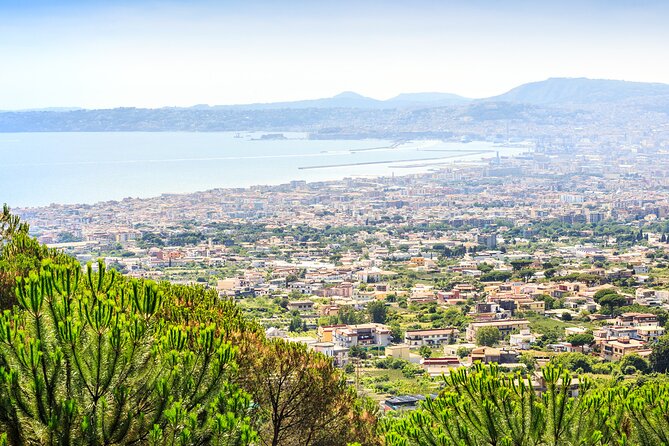 3 Hours Mount Vesuvius Crater Visit From Pompeii - Meeting and Pickup