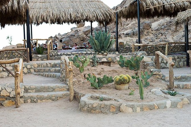 3 Hours Safari Afternoon With the ATV Quad & Camel Ride – Marsa Alam