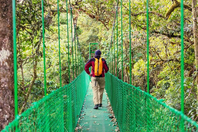 3 in 1 Eco Tour Rain Forest Aerial Tram, River Cruise & Nature Walk Private Tour - Tour Overview