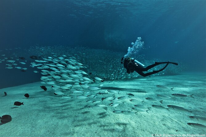 3 Tank Combo Cabo Reserve & Corridor, Certified Divers With MANTA