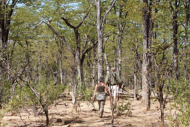 4-Day Group Safari to Tarangire, Serengeti & Ngorongoro Crater