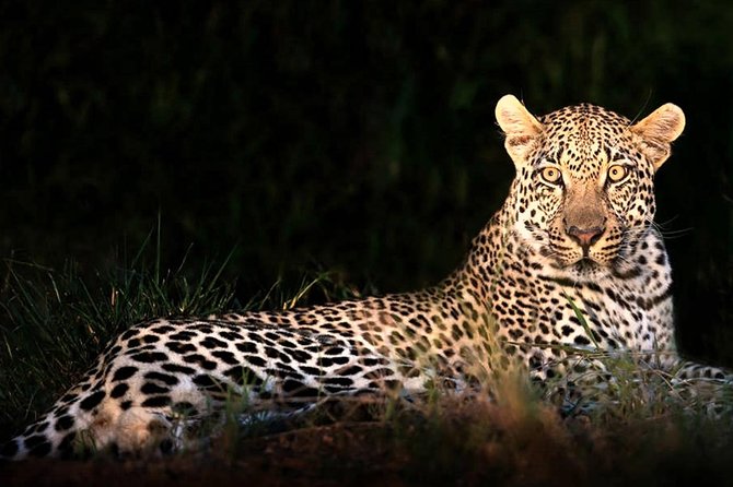 4 Day Kruger National Park and Panorama Route Safari